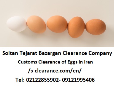 Customs Clearance of Eggs