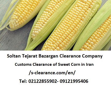 Customs Clearance of Sweet Corn