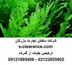 ترخیص جلبک از گمرک