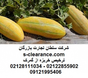 ترخیص خربزه از گمرک