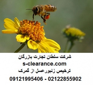 ترخیص زنبورعسل از گمرک 1