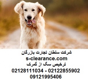 ترخیص سگ از گمرک
