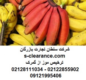 ترخیص موز از گمرک