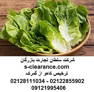 ترخیص کاهو از گمرک
