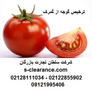 ترخیص گوجه از گمرک