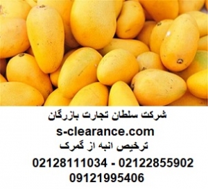 ترخیص انبه از گمرک
