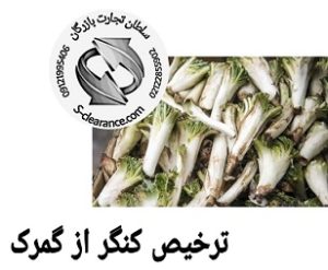 ترخیص کنگر از گمرک