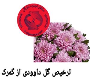 ترخیص گل داوودی از گمرک
